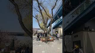 #걸어서세계속으로 #오카리나연주 #물놀이 #성동구 #매화거리 #용답역