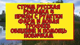 #русскаярыбалка4стрим ловлю трофеев / рулетка каждые 30 минут / общение