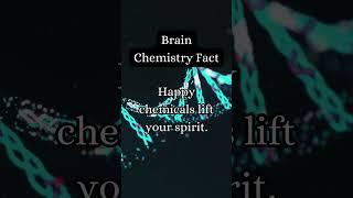 Brain Boost: Ignite the Hidden Genius Within!