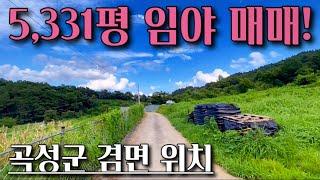 [전남임야매매] 매물번호#251 5,331평 임야 ! 곡성군 겸면 칠봉리 임야 시골땅 촌땅 토지 매매