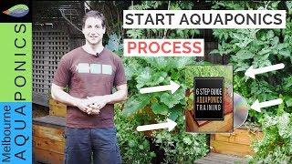 How to start your aquaponics system