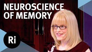 The Neuroscience of Memory - Eleanor Maguire