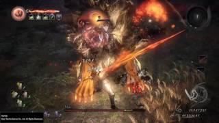 Nioh - 89 million Amrita in 8 minutes