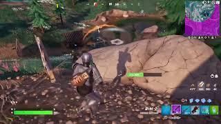 Solo vs Squads in Australia