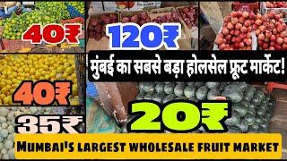 मुंबई का सबसे बड़ा होलसेल फ्रूट मार्केट| Vashi Apmc Fruit Market | Mumbai's largest wholesale market