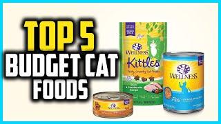 Top 5 Best Budget Cat Foods in 2024