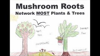 Part 4 of 4. Compost Piles Between Trees & Mulch |  THE MUSHROOM 'ROOT' NETWORK