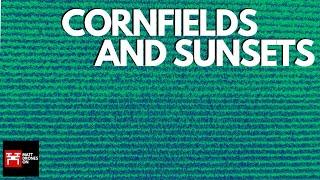 Drone Footage of Cornfields and Sunset...
