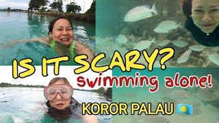 WHERE WE SWIM IN KOROR PALAU  SAFE PLACE AND IT'S FOR FREE #islandlife #micronesia