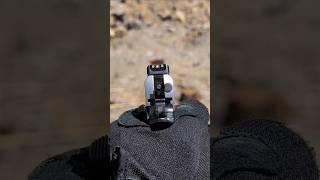 Ruger SR-1911 1st Person POV