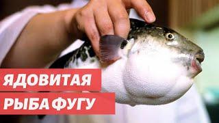 Уличная еда мира | Рыба фугу | Как это сделано