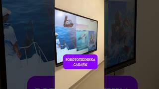 Кезекті робототехника сабағынан үзінді   #spike #робототехника #информатика #сабақ