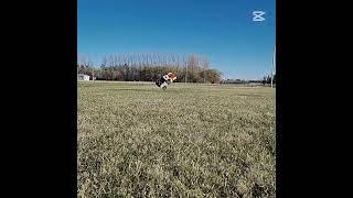 UDR FLIPS but Keeps Going! 