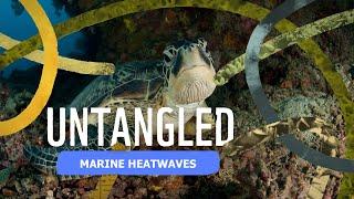 Untangled: Marine Heatwaves