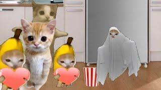 Baby Banana Cat Videos ️ 2 Minutes #60