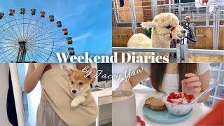 Weekend Diaries: What I Eat on Weekends, Spending time with my puppy, Sydney Royal Easter Show