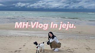 #vlog / 서울사는 제주토박이의 Jeju 여행  알차게 돌아다니고 먹고 다했지롱 !!