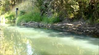 Columbia Slough pollution from Boeing