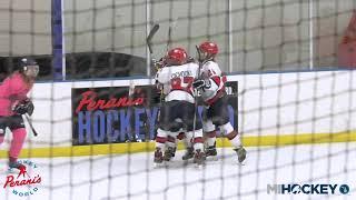 2020 MAHA Pee Wee A State Championship - Saginaw Spirit vs. USA Eagles