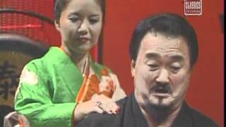 Mr Fuji Goes Bezerk