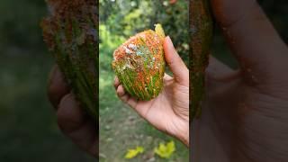 Spicy Raw Mango Masala | Mango Pickle  #shorts #food #mango #masala
