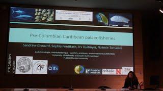 "Pre‐Columbian Caribbean palaeofisheries" by Sandrine Grouard