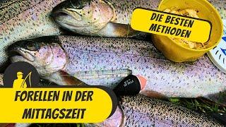 Forellen in der Mittagszeit - die besten Methoden