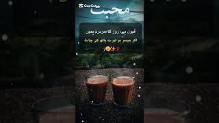 "Sad Urdu Poetry | دل کو چھونے والی اداس شاعری"