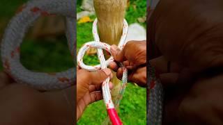 Wow,strong rope and effective knot