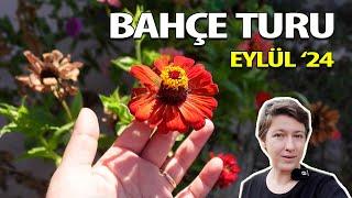 Eylül Bahçe Turu | Ev Yeşili Bahçe Turu Vlog | Bahçede Sebze & Meyve Yetiştirme