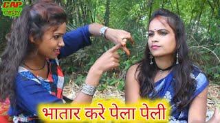 बुराड़ी में तोहर खारा ना होत होई समान Bhojpuri Chatni #Desi_Comedy  #Bhojpuri_Comedy_hub