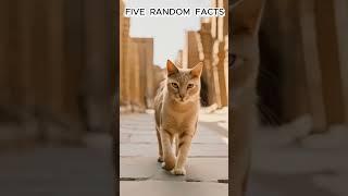 5 Random Fun Facts  [PART 30] #factsshorts #randomfacts #funfactsdaily