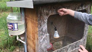 guided TOUR of our “chicken coop” made from “100% recycled materials”