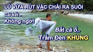 Nước lũ vừa rút, không ngờ con suối nhỏ lại trú ẩn ổ cá quá Khủng | Toàn cá Trắm Đen khổng lồ