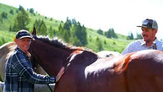 Silver Spur Ranch | Indescribable