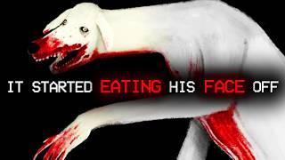 The DOG That EATS YOUR FACE | Dexter The Dog