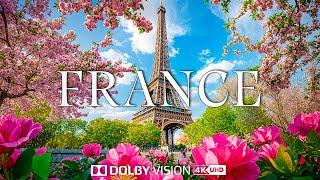 France 4K UHD - Eiffel Tower & Sakura Blossoms in Spring - Cinematic Travel