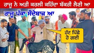 ਰਾਜੂ ਨੇ ਅੜੀ ਕਰਲੀ ਕਹਿੰਦਾ ਬੱਕਰੀ ਲੈਣੀ ਆ | Tungwali #bakramandi #farming #goats