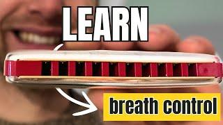 Harmonica Beginner  - Breath Control (Learn the Harmonica)