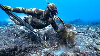 Spearfishing and Octopus Hunting in Hawaii (Catch and Cook)