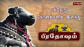 தோஷங்கள் நீங்கும் பிரதோஷம் | Pradhosham பல்வேறு கோவில்களில் இருந்து | Pradhsoam | Jothitv