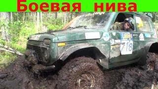 Нива на бездорожье