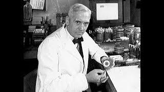 Alexander Fleming and the discovery of penicillin