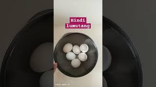 Fresh egg Hindi lumutang #fresh #egg #satisfying #highlights