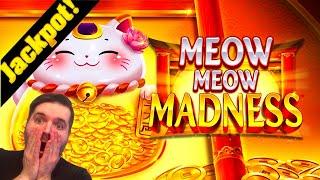 BIGGEST WIN ON YOUTUBE! JACKPOT HANDPAY!  MEOW MEOW MADNESS SLOT MACHINE!