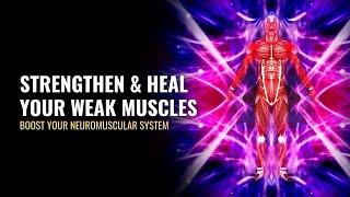 Myasthenia Gravis | Strengthen and Heal Your Weak Muscles | Boost Your Neuromuscular System | 528 Hz