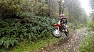 TnA Moto Films - Breaking in the crf250 with Carsen up in the Hills, Trask Oregon