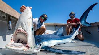 GIANT Mako & Blue Shark! Catch Clean Cook!