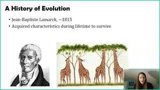 A History of Evolutionary Thinking