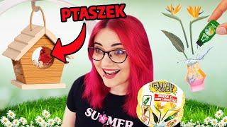 Zrobiłam MINI DOMKI dla PTASZKÓW i ROŚLINKI  DIY NIESPODZIANKI Miniverse Lifestyle